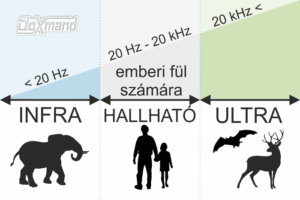 Infrahang és ultrahang különbségek