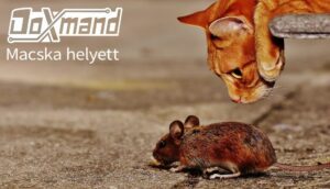 Macska helyett választhatod a Doxmand rágcsálóriasztókat!