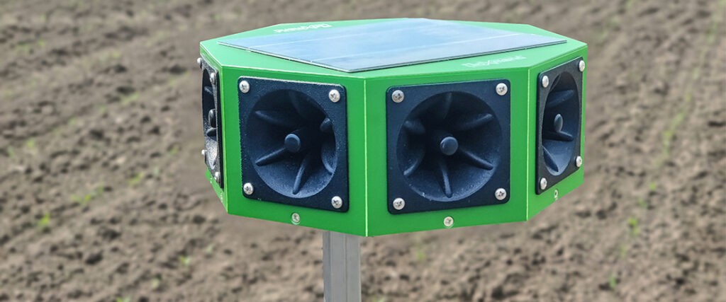 Doxmand VR8 a kukorica vetésben