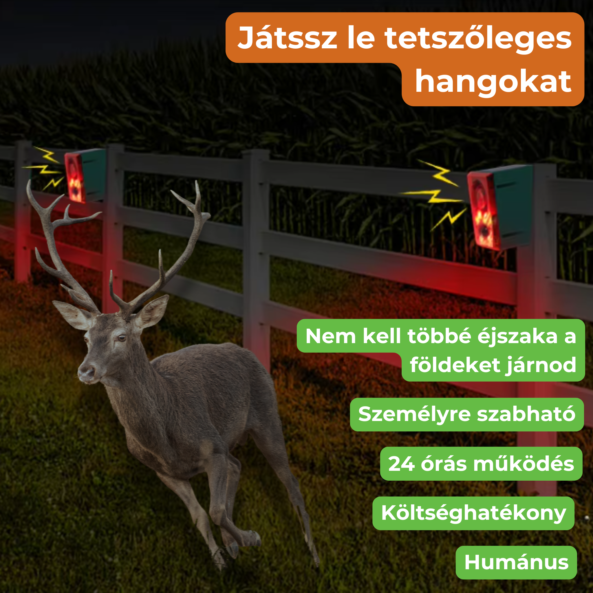 multi frekvenciás állatriasztó mozgásérzékelővel és LED fénnyel 5