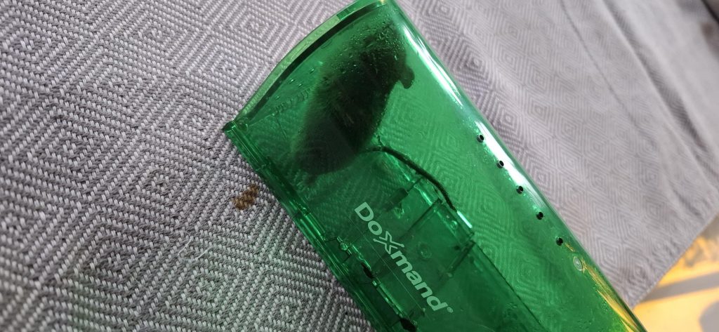 Image #2 from Gabriella I