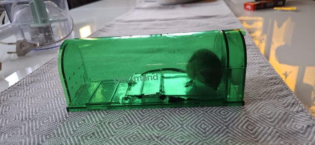 Image #1 from Gabriella I