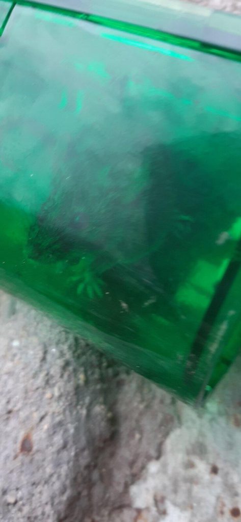 Image #1 from Anita S