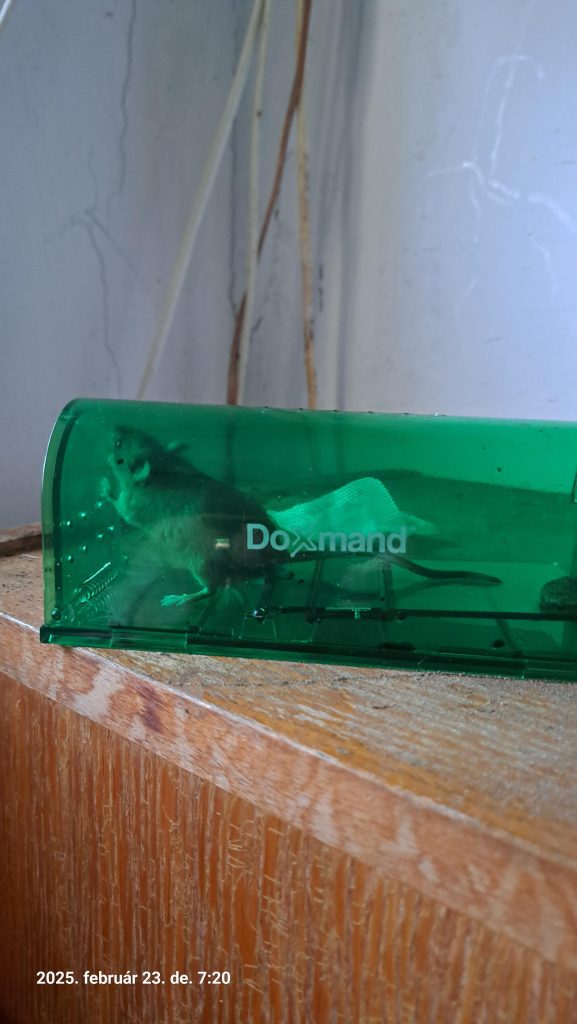 Image #1 from Tiborné T