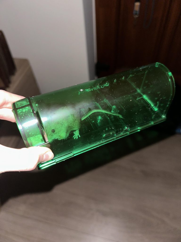 Image #1 from Anita J