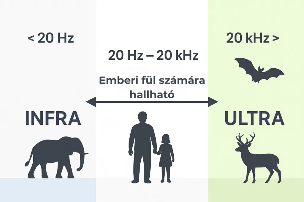 minden amit az ultrahangról tudni érdemes