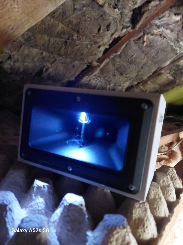 Image #1 from Krisztina