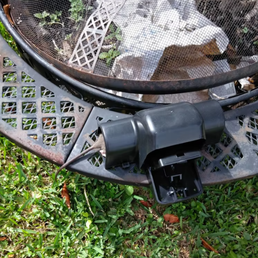 Doxmand Mortus tunnel pro patkányfogó csapda elfogott egy patkányt