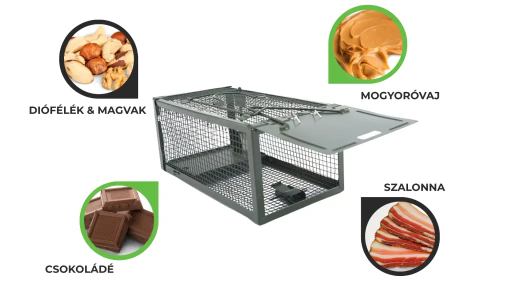 Fém élvefogó patkánycsapda csalétkek mobil