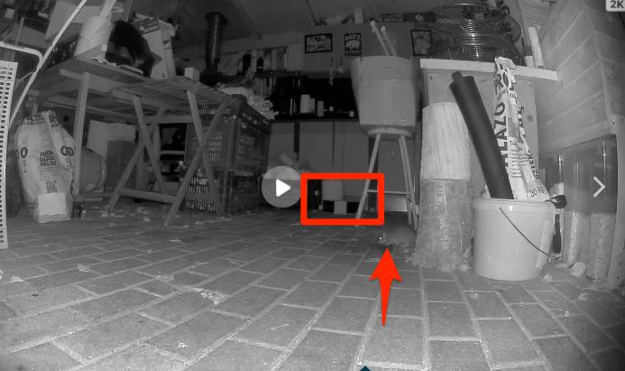 Image #1 from Róbert S.