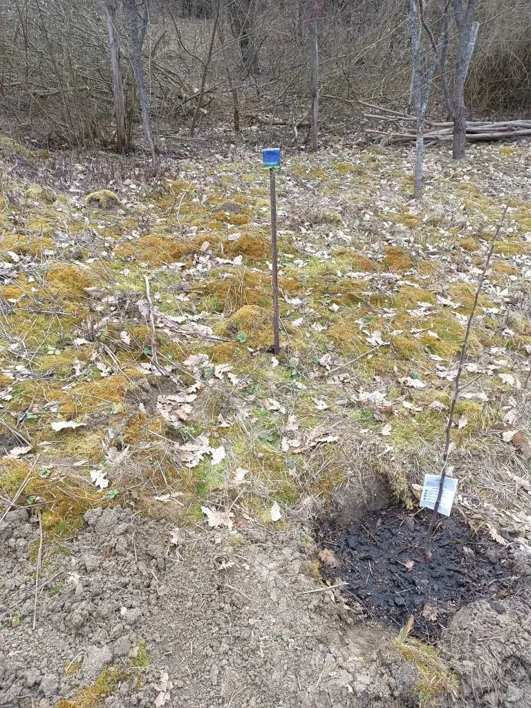 Image #1 from Balázs