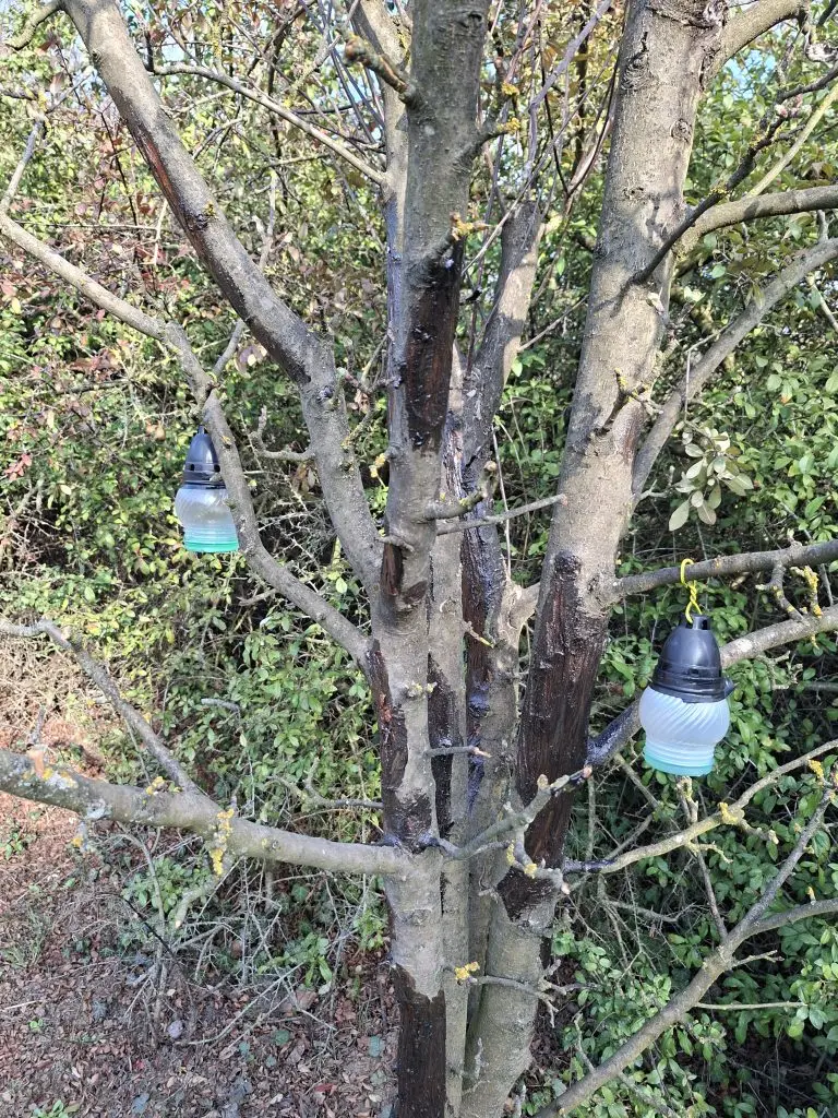 Image #1 from Denise L.