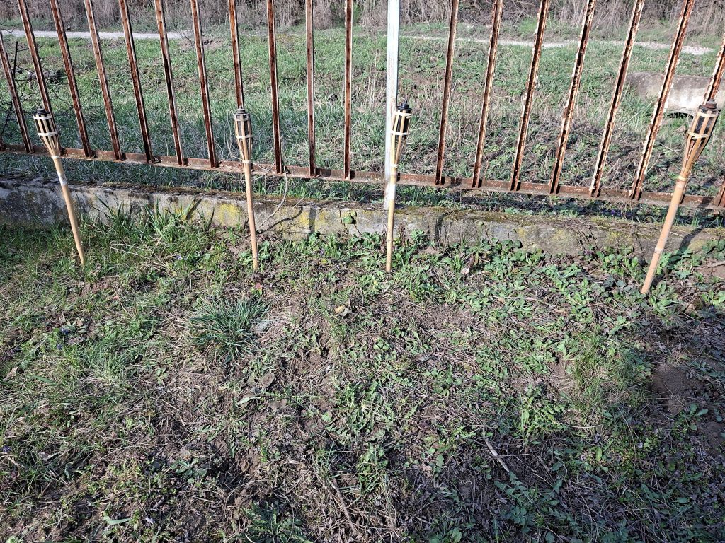 Image #2 from Denise L.