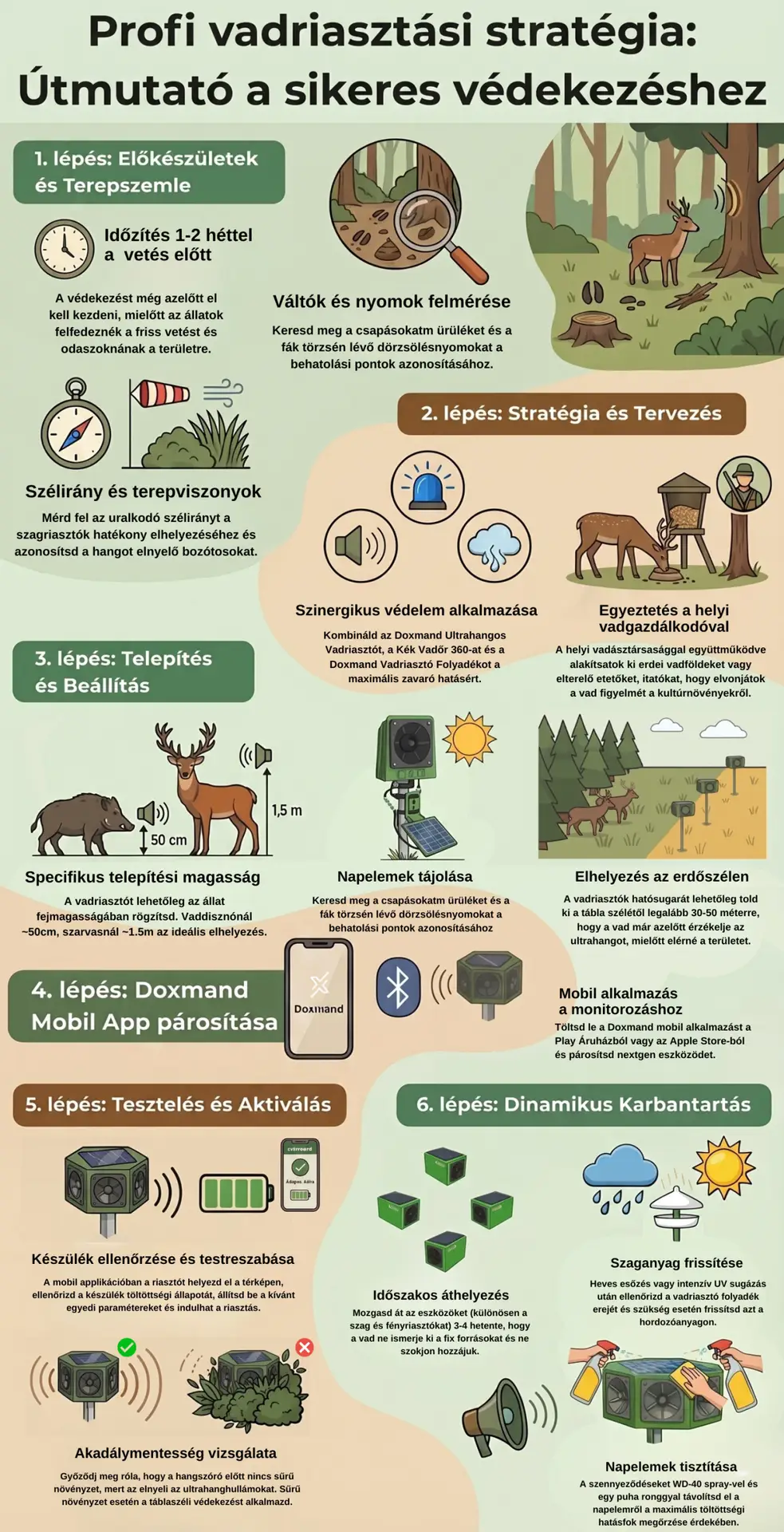 Vadriasztási stratégia infografika