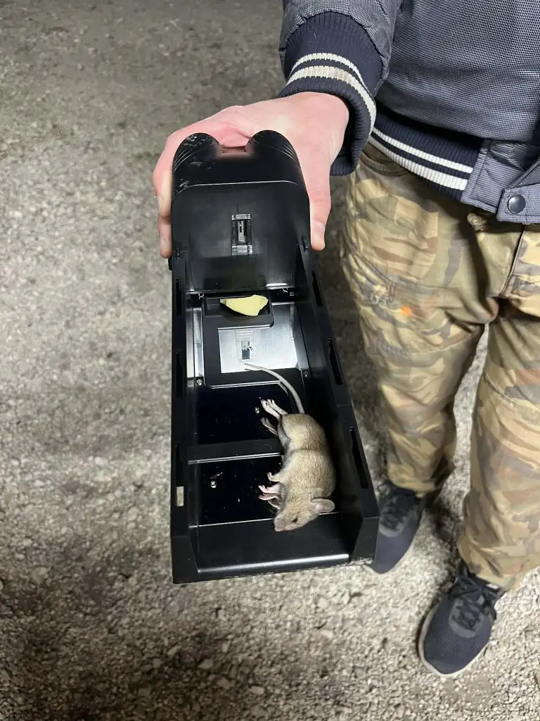 Image #1 from Robert Csordas