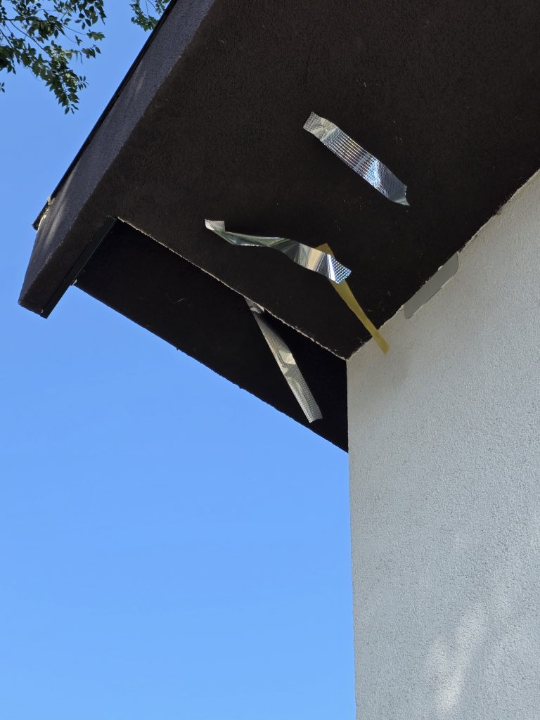 Image #1 from Gábor M.